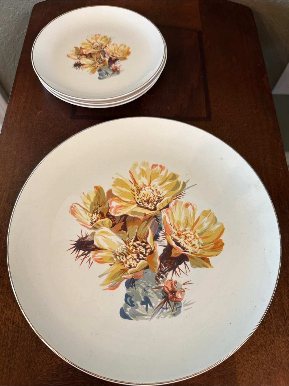 Vintage Warwick China “Cholla Cactus” 4-Piece Plate Set Mid Century Desert Boho